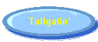 Tailgatin'